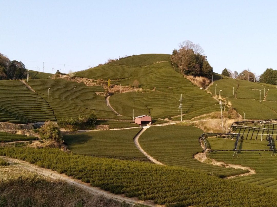 null-和束町