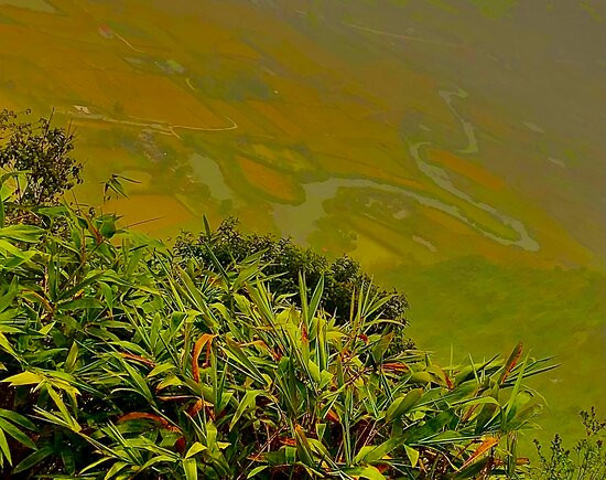 Bac Son Valley-Lang Son必去景点