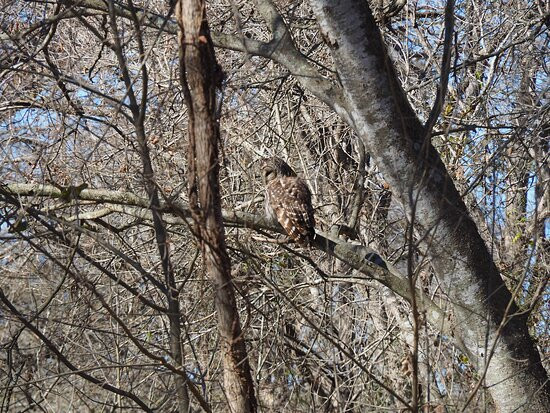 Meridian State Park-Meridian必去景点