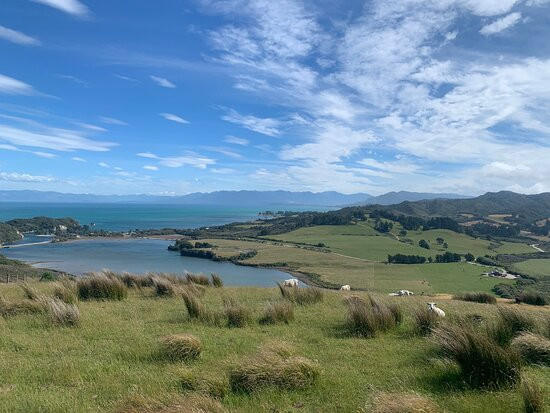 Cape Farewell Horse Treks景点图片