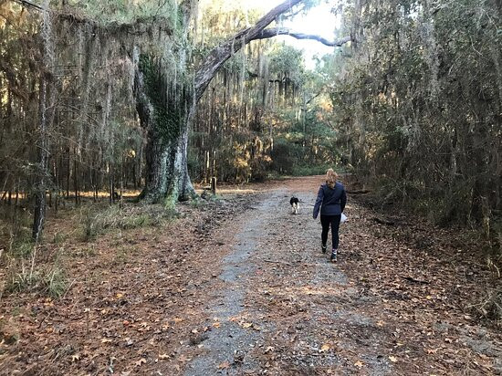 Big Branch Marsh National Wildlife Refuge景点图片