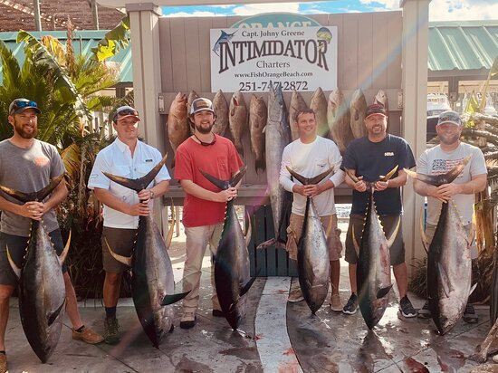 Intimidator Sportfishing Inc.-橙色海湾必去景点