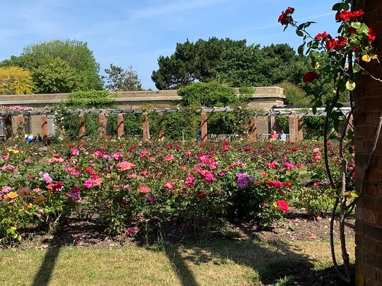 Southsea Rose Garden景点图片