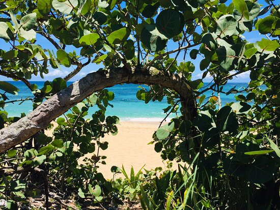 Playa Los Tubos-Manati必去景点