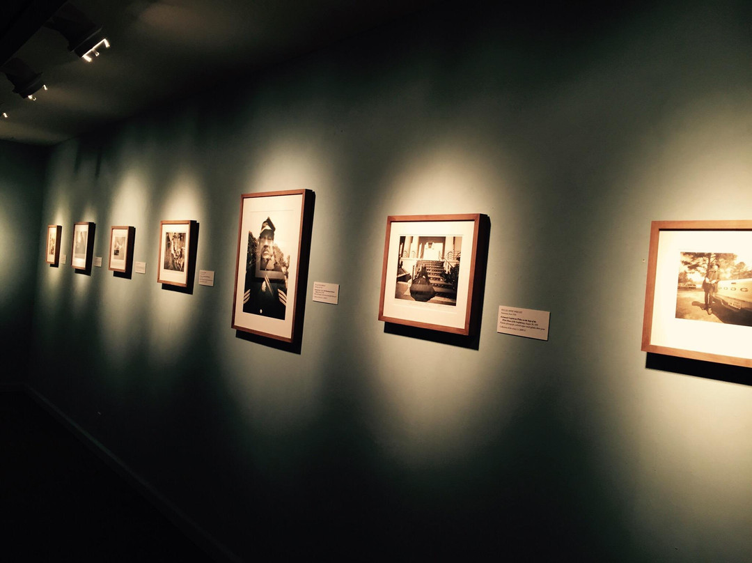 Danville Museum of Fine Arts & History景点图片