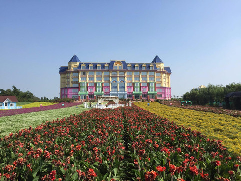 百万葵园-广州市必去景点