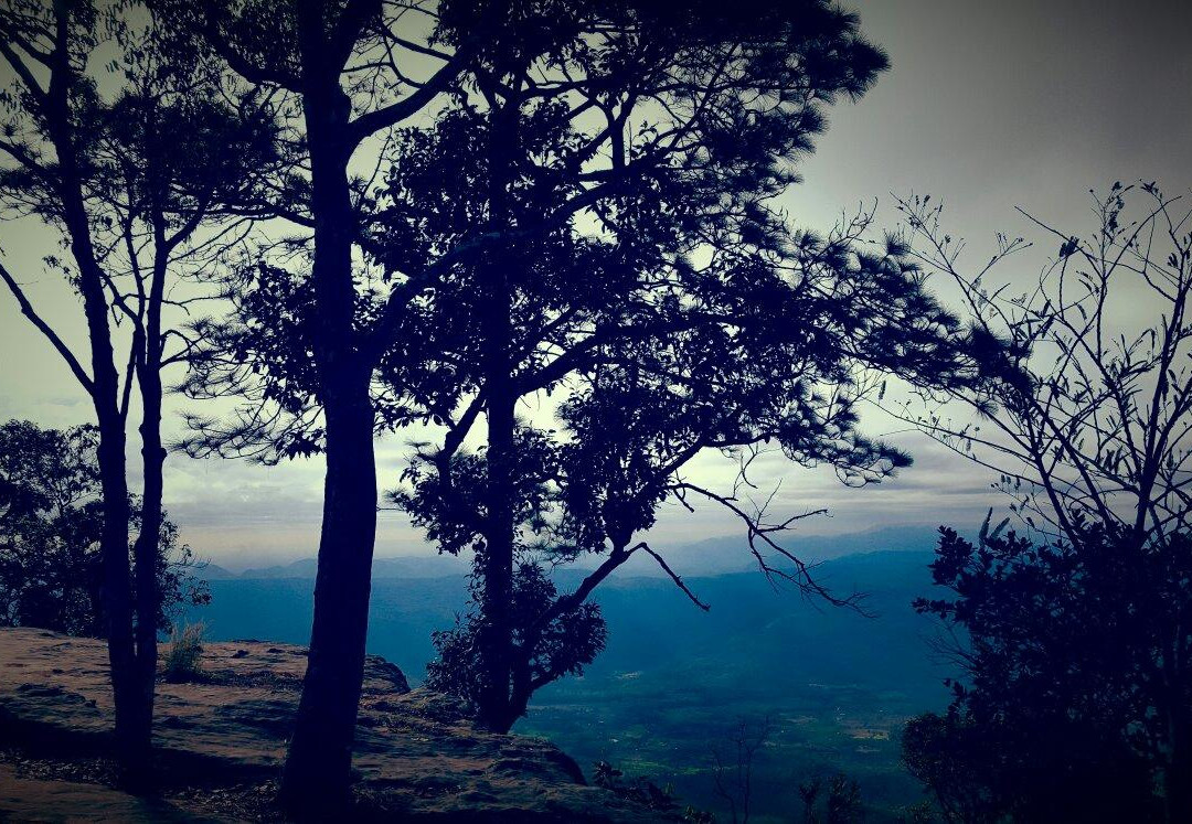 Phu Kradueng National Park景点图片