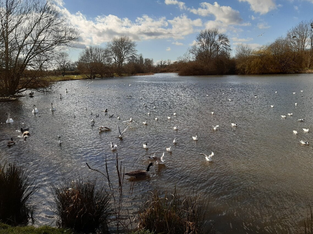 Backwell Lake景点图片