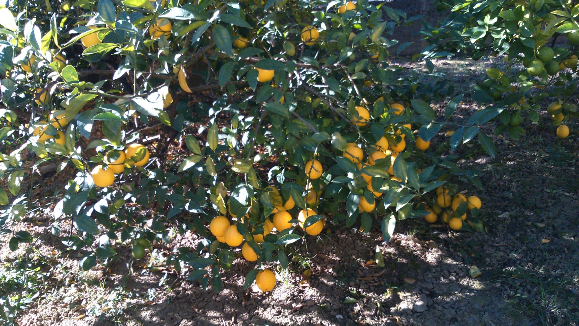 Margarita Guest House-客卧