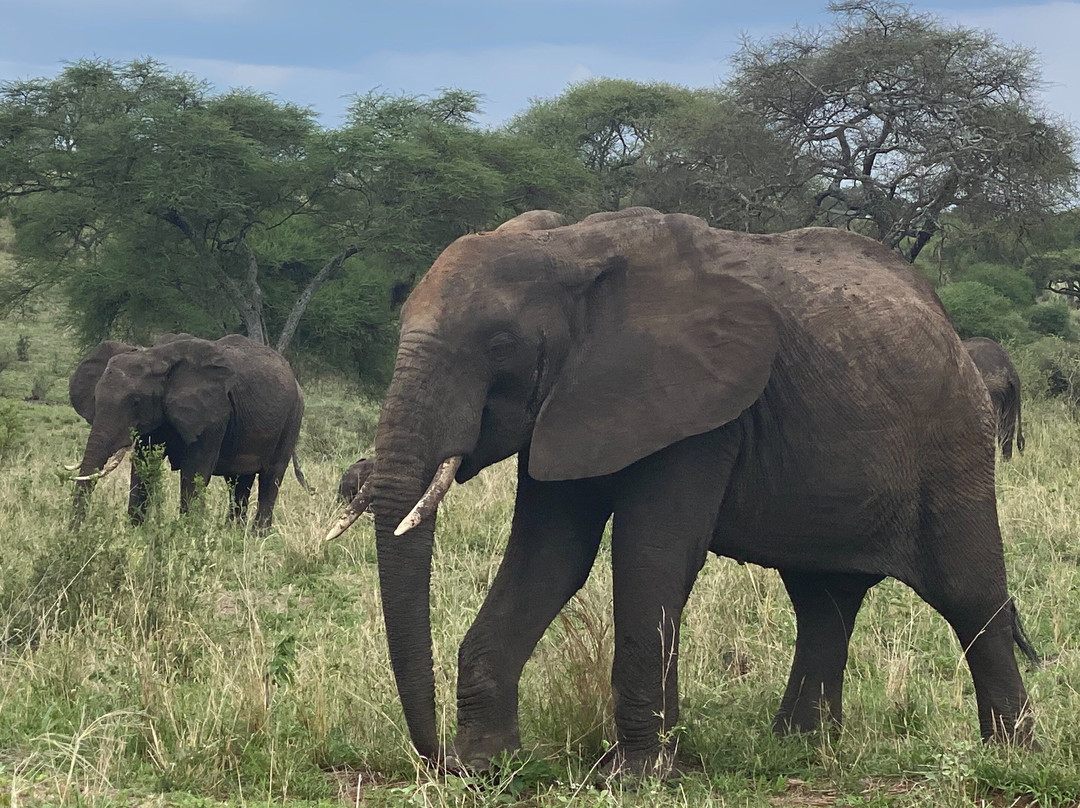 Plan Africa Adventures