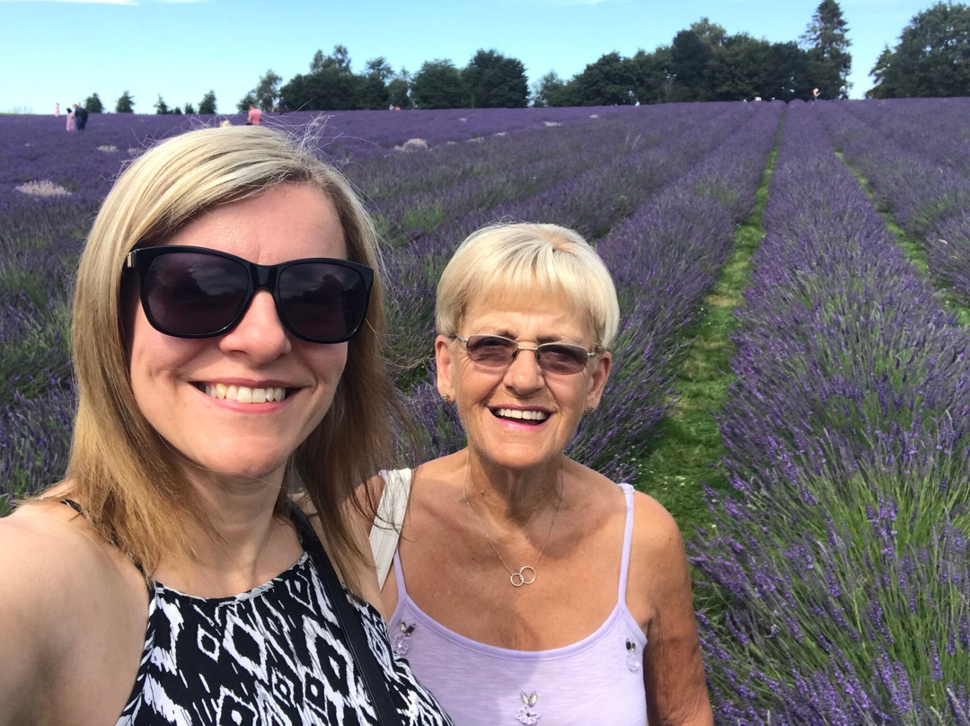 Warwickshire Lavender Farm-Bubbenhall必去景点