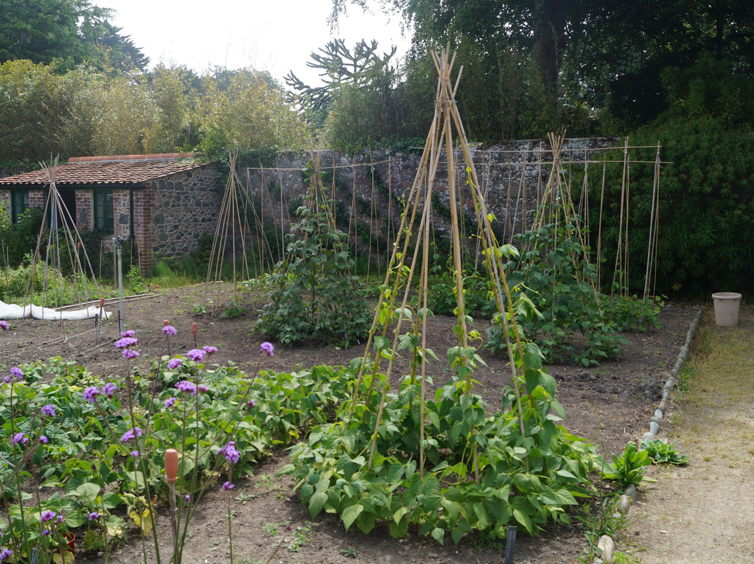 Victorian Walled Kitchen Garden景点图片