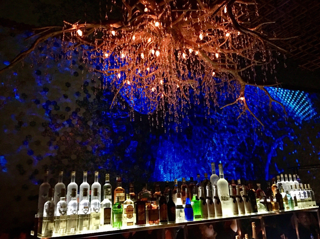 Jenja-水明漾必去景点