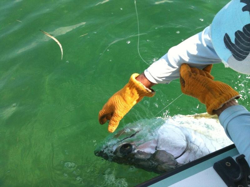 Sight Fish Charters景点图片