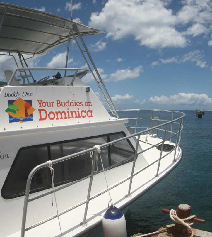 Buddy Dive on Dominica景点图片