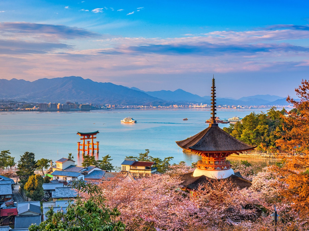 Complete Consulting Solutions景点图片