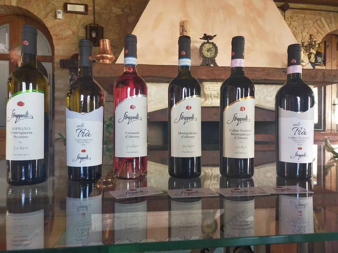 Azienda Agricola Vitivinicola Strappelli Guido景点图片