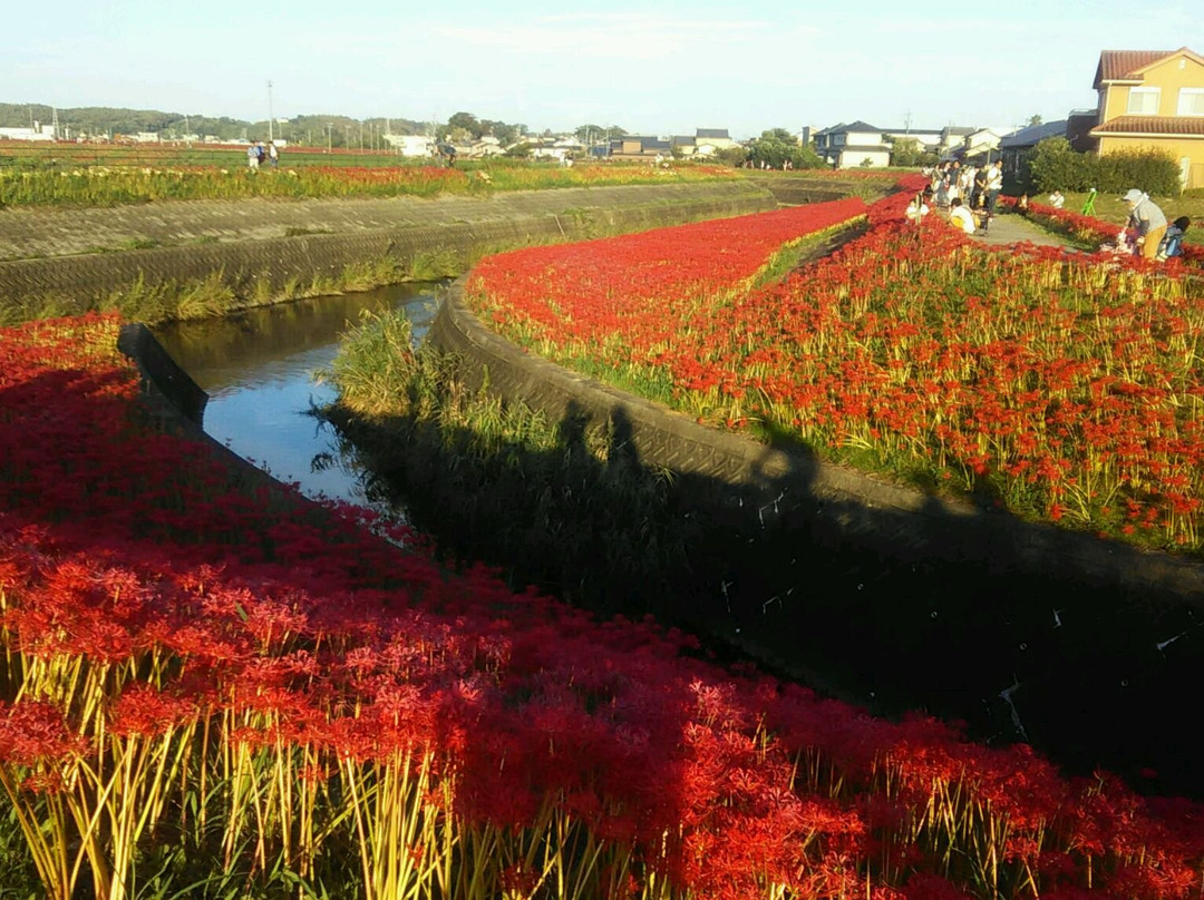 阿久比町旅游景点-Yakachi River