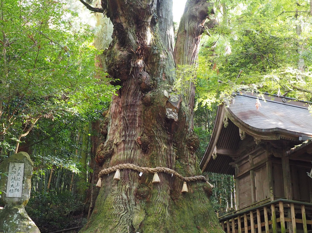 Ogosha Shrine景点图片