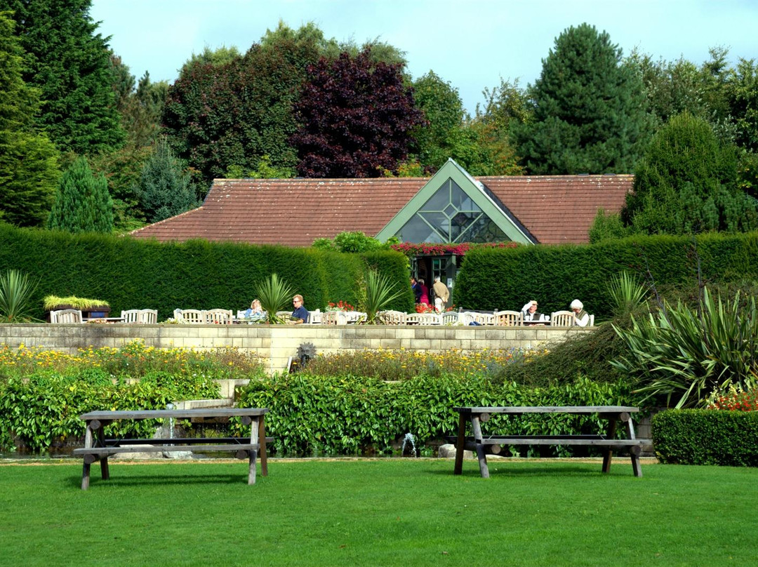 Durham University Botanic Garden景点图片