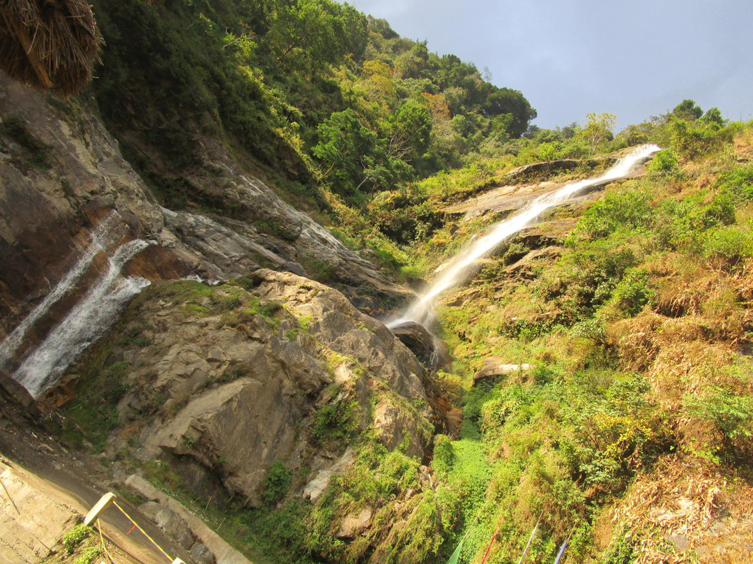 Dentam Forest Block旅游攻略图片