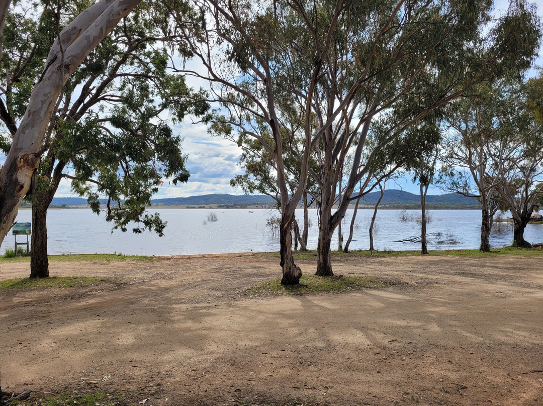 Washpool Camping Reserve