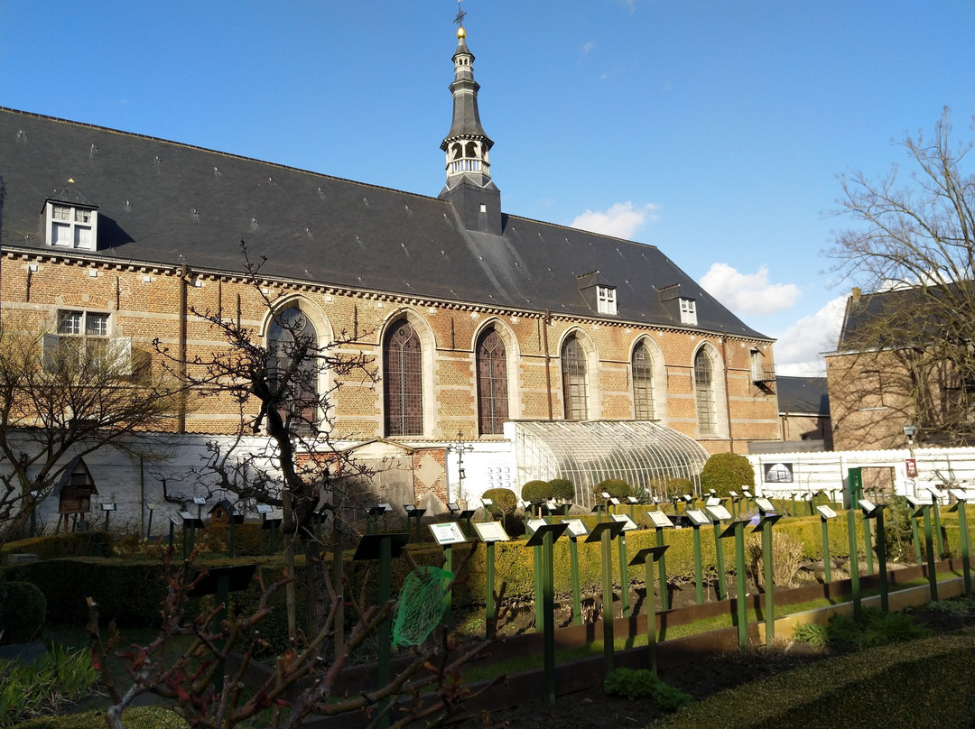 Hospital Notre Dame de la Rose Museum景点图片