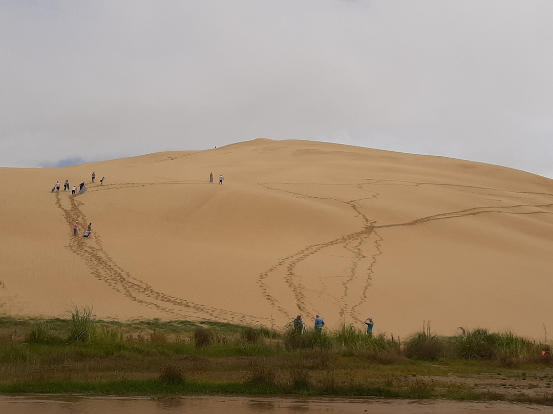 Te Paki Sand Dunes景点图片