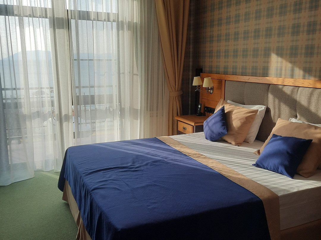 Dacha Hotel主图