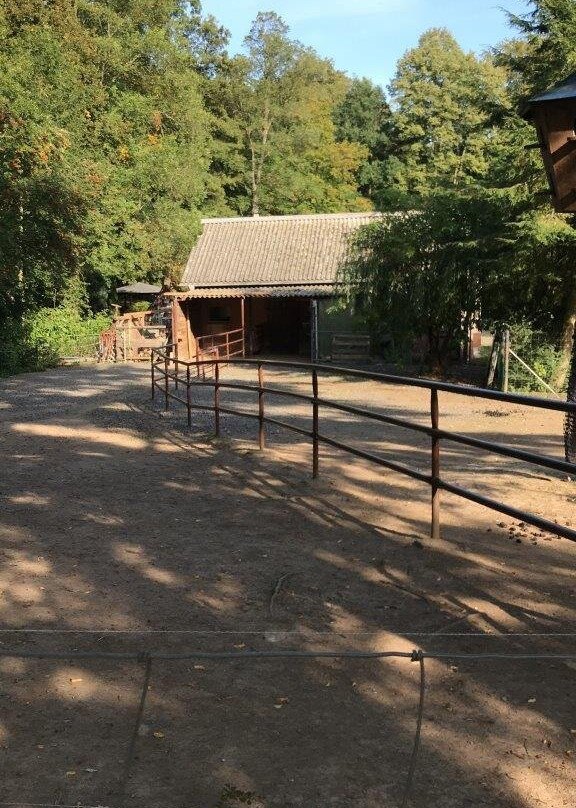 Tiergehege im Sahn Park-Crimmitschau必去景点