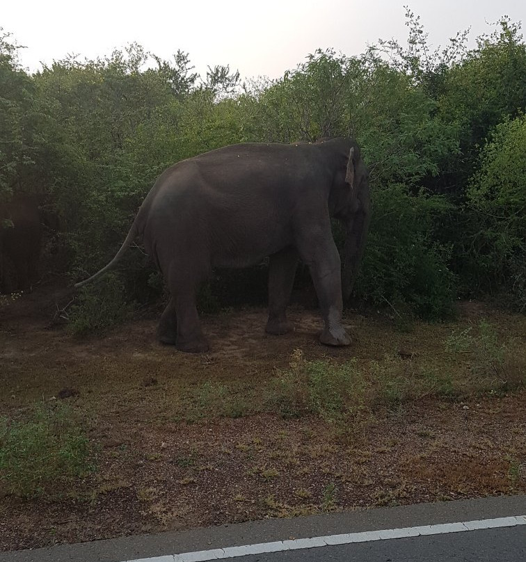 Oriole Taxi & Tours-蒂瑟默哈拉默必去景点