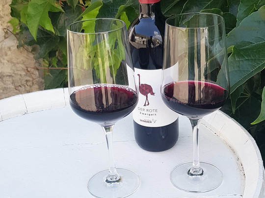 Weingut Und Straußenfarm Wimmer-Oggau am Neusiedler See必去景点