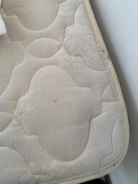 Casa del Mar Lodge主图