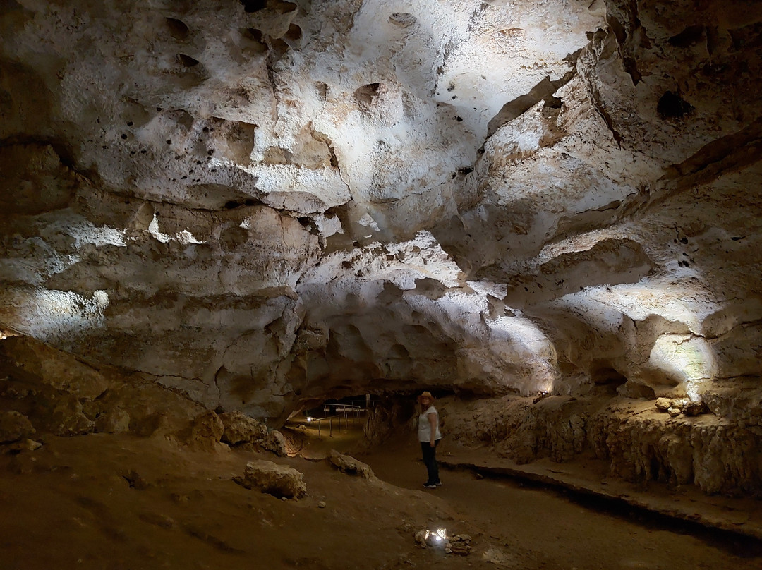 Stick Tomato Cave-Naracoorte必去景点