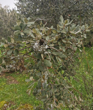 El Canto del Peso-Galapagar必去景点