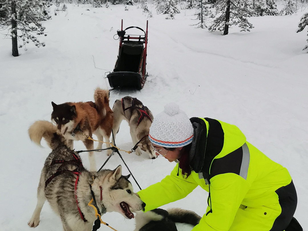 Husky Camp