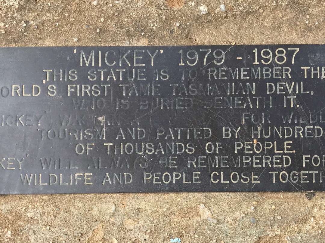 The Big Tasmanian Devil-茉莉溪必去景点