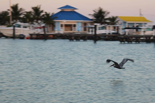 Maya tour Mid-梅里达必去景点