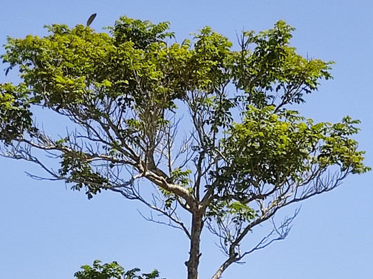 Kuldips Tours-蒙巴萨必去景点