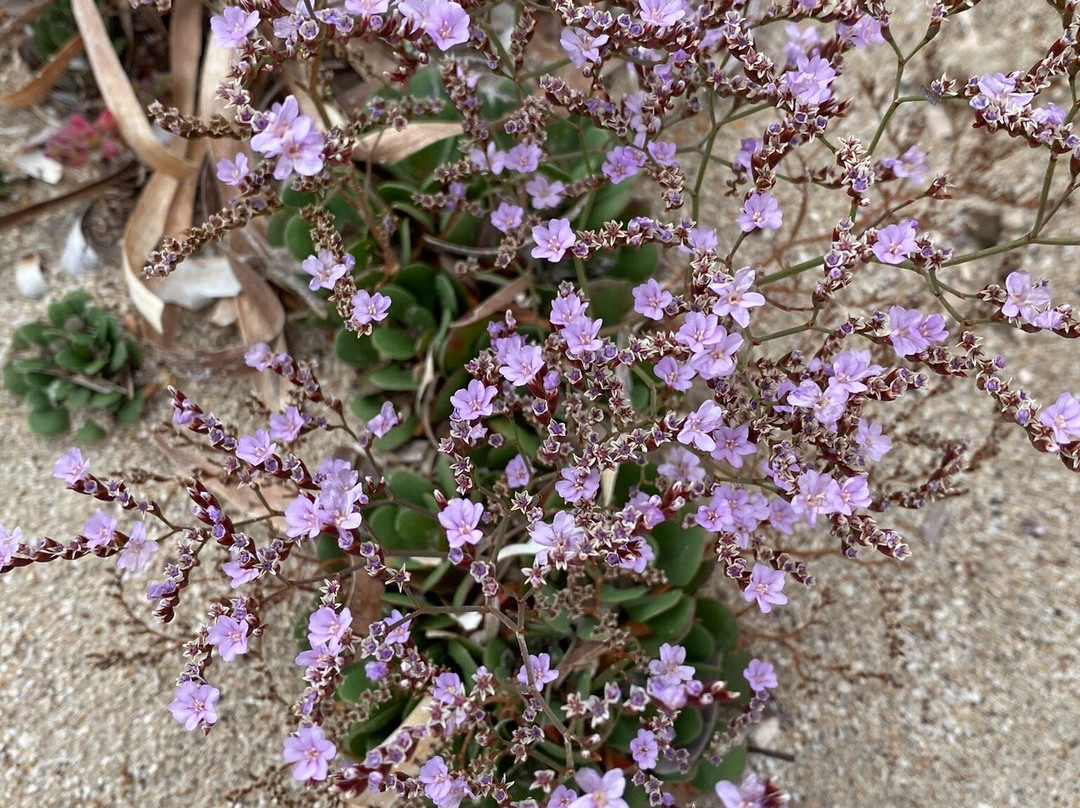 Lincoln National Park-Port Lincoln必去景点