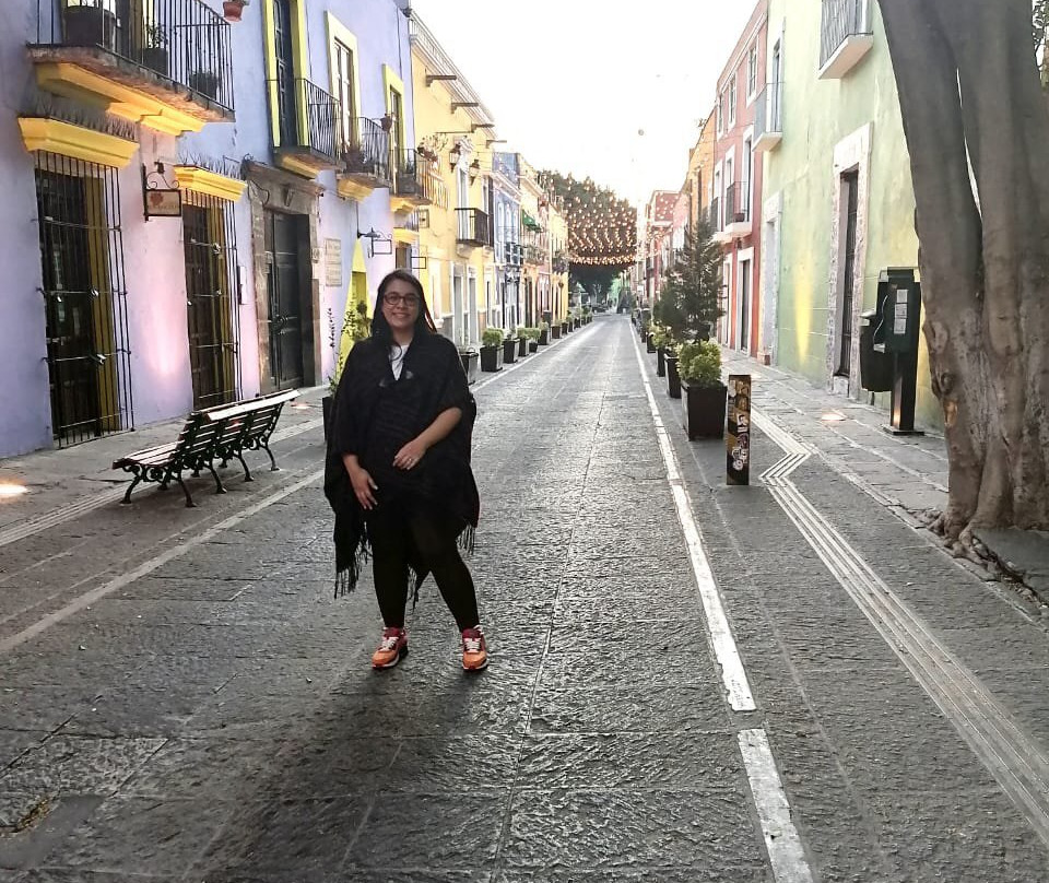 Callejón de los Sapos景点图片