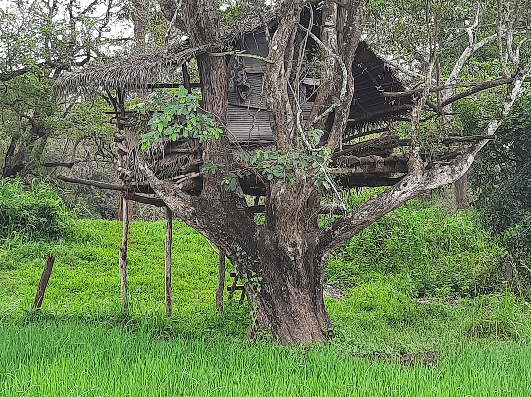 狮子岩-锡吉里亚必去景点