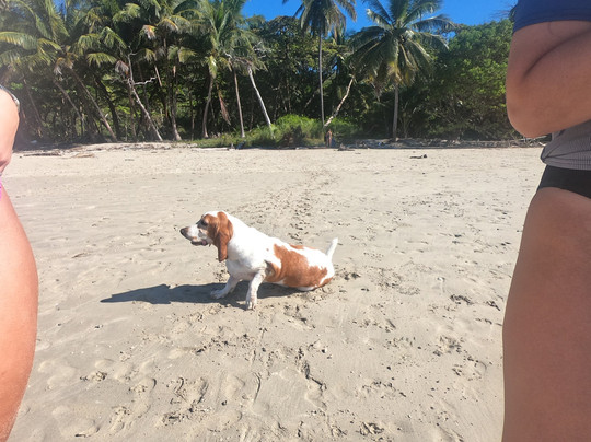 Surf Lessons, Santa Teresa North, Costa Rica-圣特雷莎必去景点