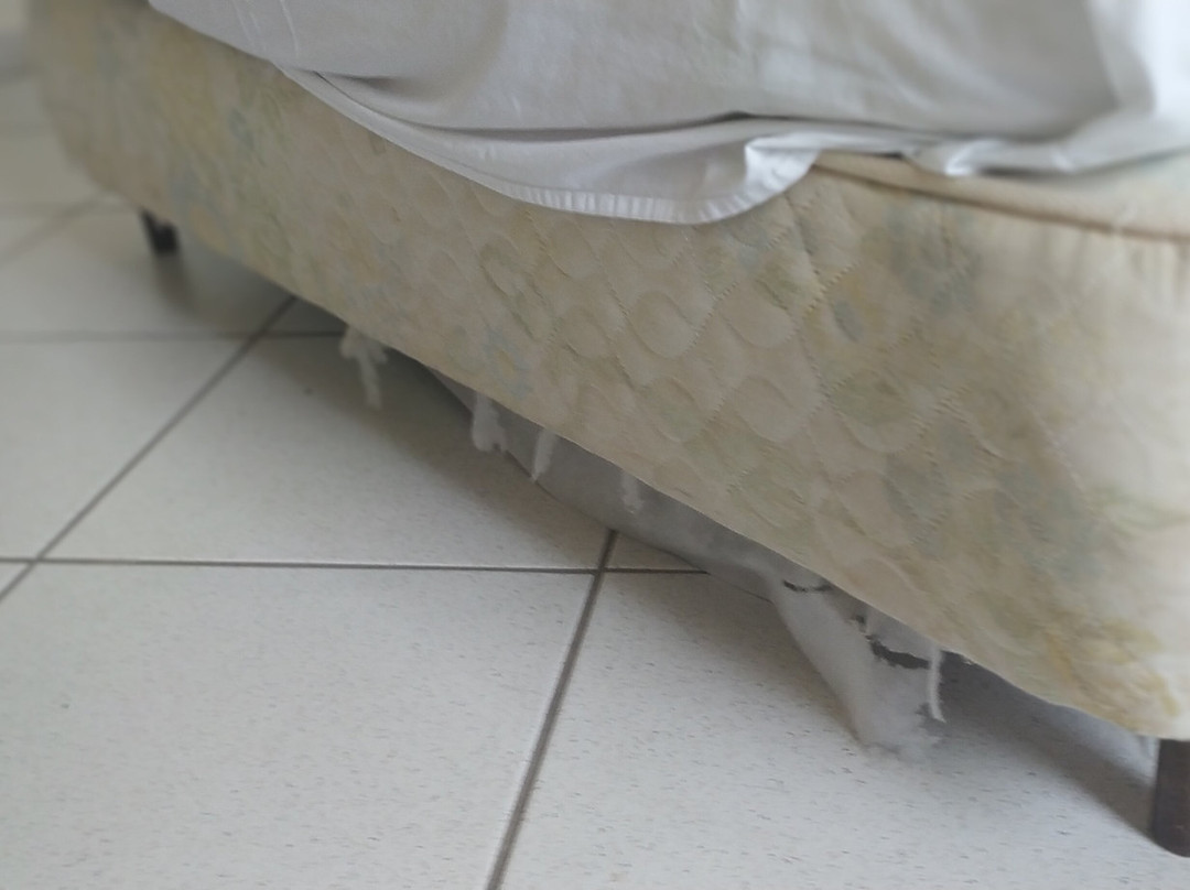 Vilhar Palace Hotel主图