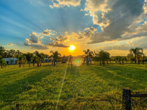 Las Tipas Estancia Y Relax主图