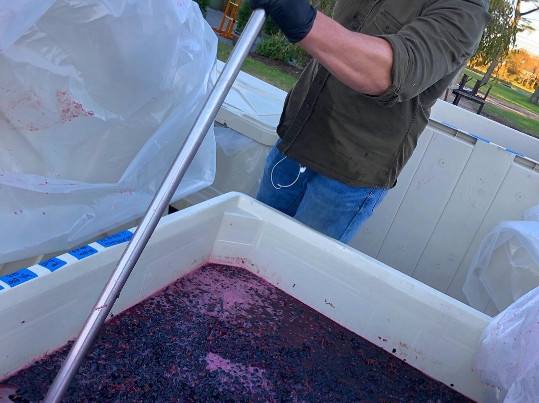 Hawk Haven Vineyard and Winery景点图片
