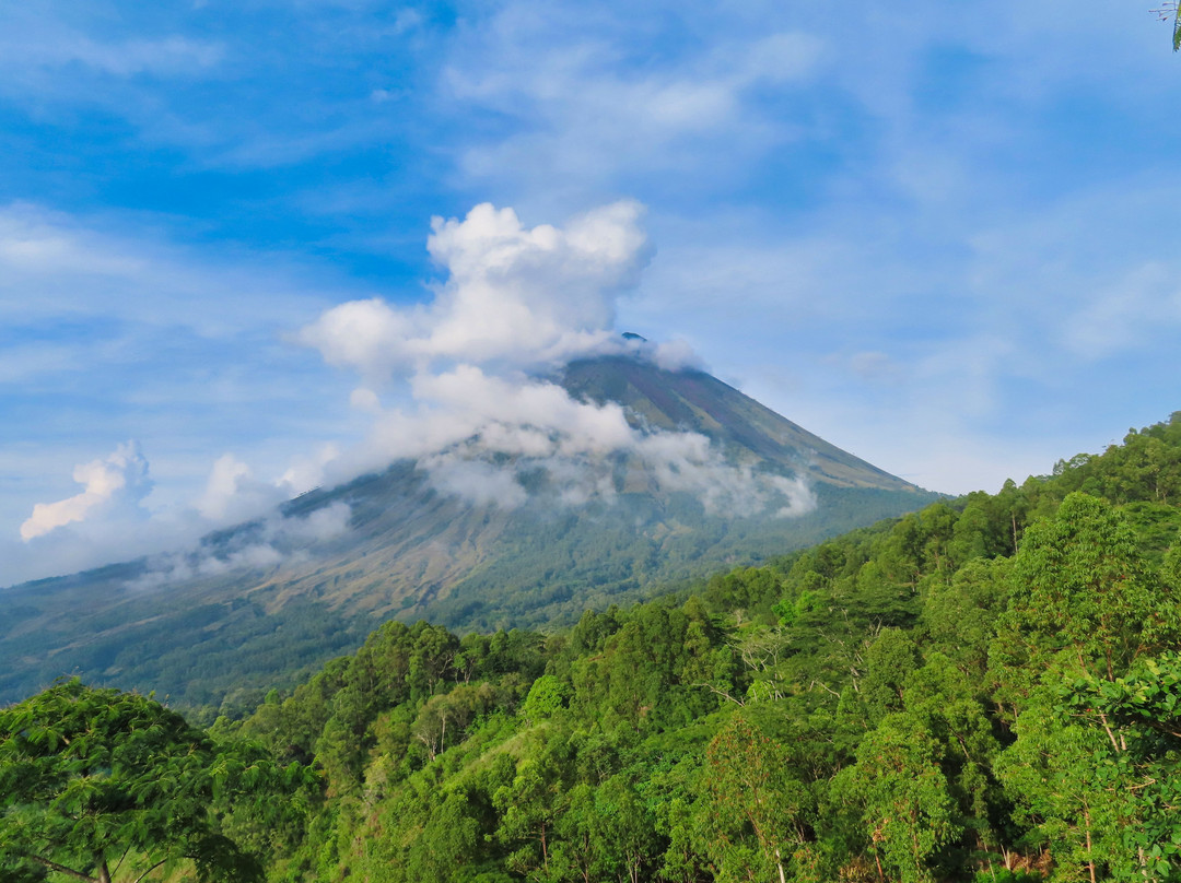 Manulalu Bed and Breakfast主图