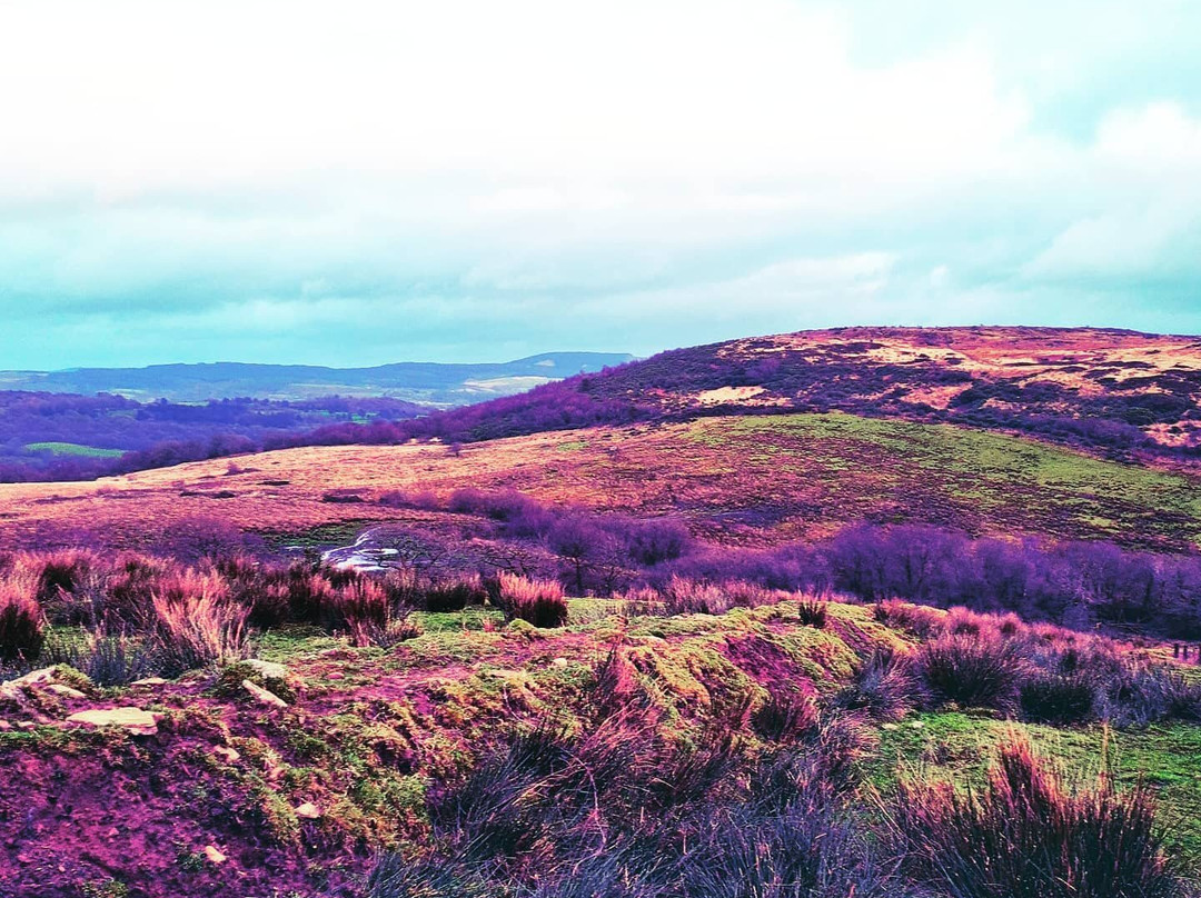 Cwm Clydach Walk景点图片