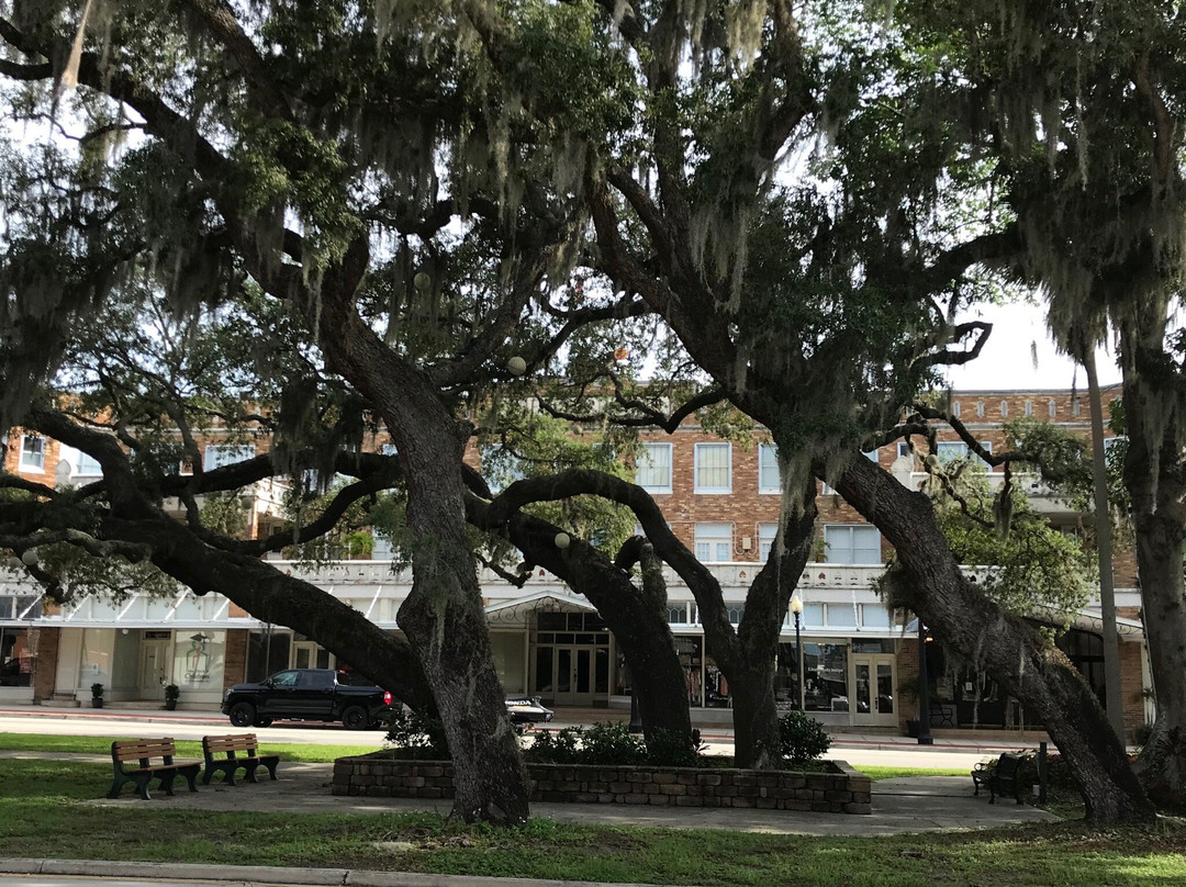 The Hotel Jacaranda主图