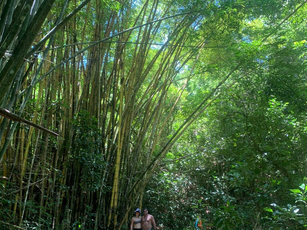 Praia do Dentista景点图片